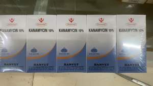 KANAMYCIN 10% hanvet (20ml100ml) chống viêm phổi tiêu chảy vật nuôi