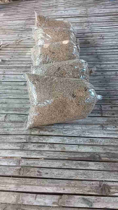 มูลจี้งหรีด1กิโลกรัมต่อถุง