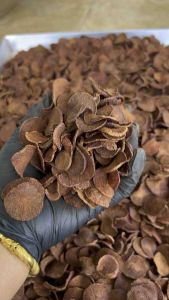 หมากแห้ง หมากใหม่ ปี68 ขนาด 1 กิโลกรัม พร้อมส่ง หมากอิแปะแปดริ้ว หมากสวนโดยตรง หมากใหม่ตามฤดูกาลหมากคนแก่เคี้ยว