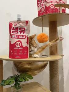 Sữa chăm sóc sức khoẻ thận & tăng cảm giác ngon miệng cho thú cưng SaengYoo Berry March [Túi 200ml]