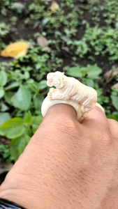 CINCIN COWOK KEREN GG LOKAL UKIR MAUNG