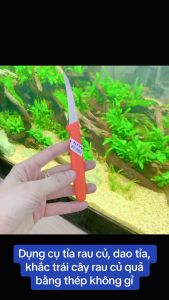 Dụng cụ tỉa rau củ Dao Tỉa Rau Củ Quả Kiwi - Dao khắc Trái Cây bằng thép không gỉ Chính hãng - gia dụng Nari