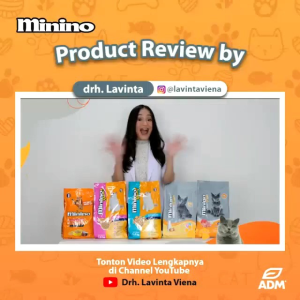 Minino Plus Kitten Repack 800gr Dry Cat Food Real Urinary Care Premium Mininoplus Makanan Anak Kucing