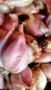 Sambal Kering Udang Garewol ||Sambal udang no 1 di indonesia