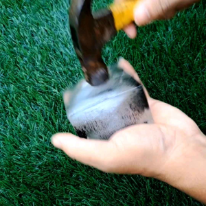 Skymax Jam Tangan Couple Pria Wanita Terbaru Bisa Satuan Jam Tangan Anti Air Fashion Terbaru