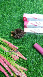 Lip Mouse Cream SR12 / Lipstik Matte