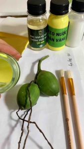 Combo Dát Vàng Cơ Bản để làm phù hợp cho người mới với 1 lọ phủ bồi vàng 1 lọ keo đá 100 lá vàng 24k 1 bộ bút chổi và kèm hướng dẫn sử dụng