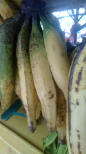 Pisang Tanduk Madu Super: 15 Buah dalam 1 Tandan