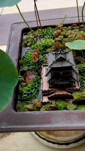 Rectangular Pot Ideal for Mirco / Small Lotus / Mini Terriaum / Paludarium / Aquascape ( without holes)