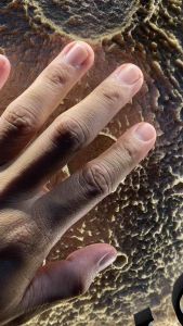 กลอบไฟ the moon 3d