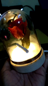 Lampu Mawar Asli Beauty and the Beast: Dekorasi Interior Rumah yang Unik