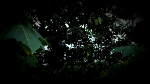 TAIL PROTECTOR VARIO 125 NEW 2023 - BODY PROTECTOR VARIO 125 - PELINDUNG BEHEL VARIO