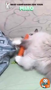【READY STOCK】Pet Toy Carrot Design Scratch Toy Bite Toy Cat Bite Toy Sisal With Bell Pemainan Kucing Lobak Merah Dengan Lonceng Plush Ball Toy宠物玩具毛绒球宠物玩具内有铃铛 (Big /Small)