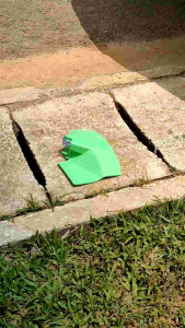 ใบบังหญ้าตราเพชร