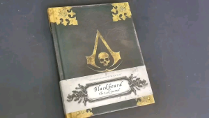 Blackbeard The Lost Journal