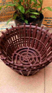 chậu nhựa trồng lan giả gỗ phi 30