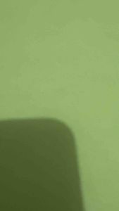 AAPS - Business/Calling Card (Customized)