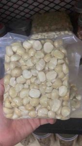 (Làm Sữa) 500Gr Hạt Mắcca Bể Đôi daklak túi hút chân không loại 1 khong hôi dầu số lượng giới hạn