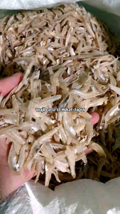 Ikan Bilis Matabiru Kopek 3A Rangup Inderasabah ORIGINAL SABAH