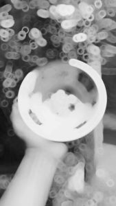 ( 6pcs )Mangkok Melamin Ceper SINGASINGI 18cm (600ml)Motif Ayam Bunga Tebal Anti Pecah Kuah Mie Saji