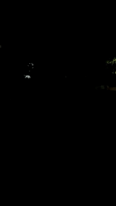 Foglamp Led Headlamp Led Mobil H4 H8 H9 H11 H16 H7 Bergaransi