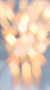 Bunga Tangkai serabut kelapa Homedecor flower bunga kering