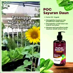 KASFARM-PUPUK ORGANIK CAIR PRAWATAN TANAMAN SAYUR DAN DAUN / KOMPOS POC 500ML