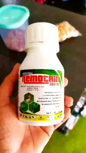 NEMOTRIN INSEKTISIDA 380 sc Paling Ampuh obat pembasmi hama gulma rumput liar padi racun ulat