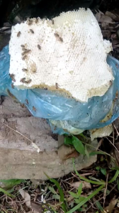 Mật ong trắng  hoa blong song lấy từ đỉnh núi cao mù cang Chải yên Bái  chai 1 lít.