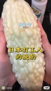 Premium Fresh White Bitter Gourd | White Bitter Melon | Fresh Asian Vegetable