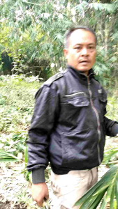 Golok Tebas Kayu & Bambu: Pemilihan & Penggunaan