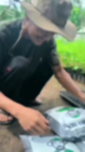 pupuk semai media semai tanam untuk benih tanaman dan sayuran 3kg/1kg