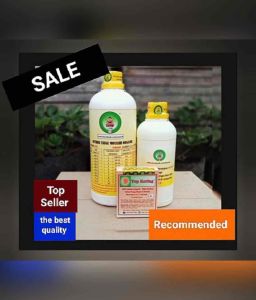 SUMO8 Cair A + B & Top Kering Tauge ( Peningkat bobot tauge & Pengawet Organik tauge )