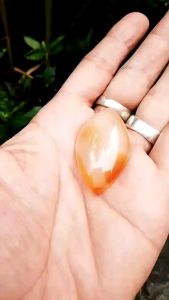 Batu akik mustika Tetesing warih