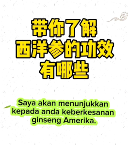 【美国老山】泡参  小片 38克 USA Ginseng Slice Small 38g