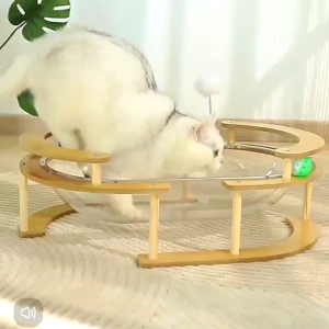 tempat tidur kucing capsul aktilik transparan ukuran jumbo 60x40