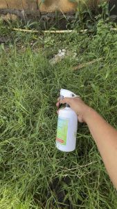 Cairan pembasmi rumput 500 ml