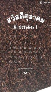 🔷🔹[สินค้าคุณภาพ]🔷🔹ข้าวกล้องผสม หอมมะลิ+ไรซ์เบอรี่สินค้าพร้อมส่ง ปลูกด้วยวิถีชาวนาดั้งเดิม ปลอดสารพิษ