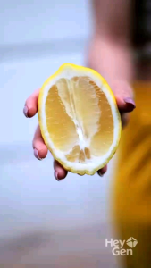 BORDEN REAL LEMON JUICE 48OZ