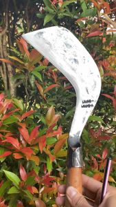 Parang keperluan ngebabad rumput pinggir sawah full baja