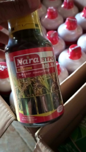Insektisida NARA HYPO 505 SL 500ml obat penggerek batang dan hama Lainnya