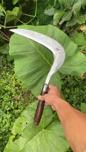 Sabit Rumput Ori Dewi Bintang Original