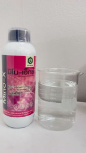 🌸เจนวาย มิโน-เอ็กซ์ 🌷(กรดอะมิโนอิสระ 18 ชนิดที่จำเป็นสำหรับพืช) 1 ลิตร น้ำตาลทางด่วน น้ำตาลแอลกอฮอร์