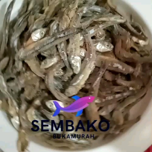 Teri Asin Ikan Asin Kering Terlaris