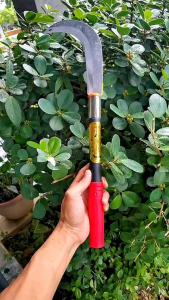 มีดเคียว เหล็กแมงกานีส รุ่นหนาขึ้น คมนาน