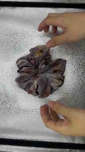 中发肠Flower Scrunchie Hair Tie