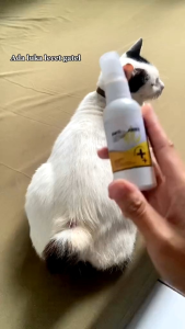Obat Scabies Kucing Kelinci Spray anti scabies 60 ml