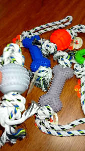 Indoor & Outdoor Dog Toy Set
