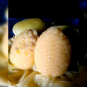 BENIH JAGUNG POPCORN PUTIH MINI (KEMASAN ORIGINAL)