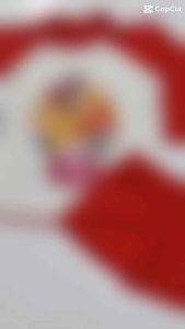 KIDS GIRL RASHGUARD CAN FIT 1 YR OLD UP TO 10 YR OLD (RANDOM COLOR)